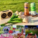 씨유 서초타운점 | 반포 한강공원 돗자리 텐트 대여 배달존 힐링피크닉