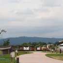 금호강1 이미지