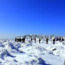 12월27~29일 제주도 윗세오름 눈산행 이미지
