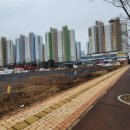 대경아파트앞 이미지