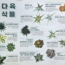 마곡 서울식물원 3월 방문 실내데이트 후기(주차, 푸드코트, 요금)