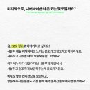 니어바이솝 이미지