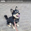 기다림수학