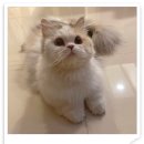 아이조아 요양보호소 경기광주 이미지