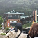 강이주는맛집 이미지