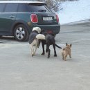 승마클럽 영풍 이미지