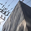 웨스턴베니비스 | 영등포 웨딩홀 웨스턴베니비스 후기｜단독홀 분위기 혼잡도 솔직 장단점 정리