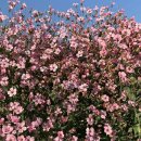 서원동-13 이미지