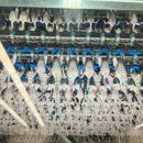 (주)하림 제2공장 - 13003 | 닭하림공장 HCR투어 추천 후기 신청방법 사이트