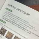 대표음식물처리기