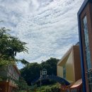 대전 유아교육진흥원 가족체험 후기 (산이코스 & 들이코스)