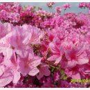 해맞이동산 이미지