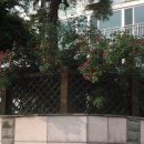 용산구청 이미지