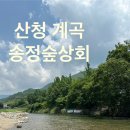 2026 산청 송정숲 실시간 후기｜아이들과 물놀이 노지캠핑 취사 가능한 계곡 추천