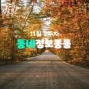 [단기과정 3차]매력적인 숏폼 콘텐츠 만들기[8주] | 🐇11월 2주차 동네정보퐁퐁🐇