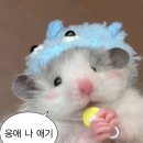 부천 한국 만화 박물관 내돈내산 뒤늦은 후기