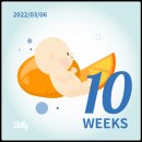 목동제일여성병원 이미지