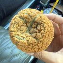 (주)프리챌 | 강원도 2박3일(고성,속초,양양) 여름휴가 기록🤍