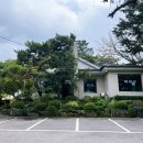 가자골막국수