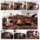 윤선농장 이미지