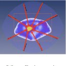허그요양병원 이미지