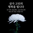 (주)라이프응급환자이송센터 네이버블로그