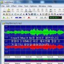 Gold Wave(골드웨이브) 프로그램으로 파일 변환과 용량 줄이기 이미지