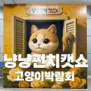 개와 집사의 시간 | 고양이 집사의 천국! 2025 냥냥펀치캣쇼 현장 다녀온 후기