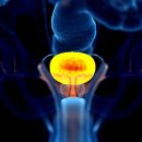 더감동의원 이미지