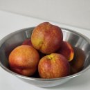 승주농장 이미지