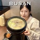 부산 돼지국밥 안목 본점 미슐랭 주말 웨이팅 솔직후기(주차장)