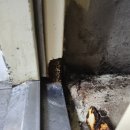 강화부식 이미지