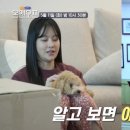 강아지 이발소 이미지