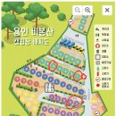 안성비봉산 캠핑장 이미지