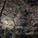 삼도왕족발보쌈 이미지