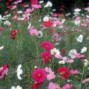 스마트하우스K 이미지