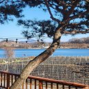 호수펜션 | 충주독채펜션으로 유명한 하늘호수펜션 방문후기:)