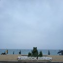 A120 | [캠핑]연곡해변솔향기 캠핑장