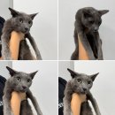 삼산종합동물병원 이미지