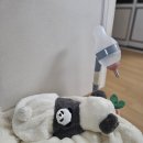 잇츠멍 이미지