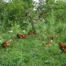 산들농장 이미지