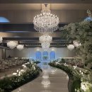 동촌중학교 | 🕊️W1. 대구 퀸벨호텔 브리에가든 계약 후기 | 26년 견적 공유