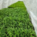 현재목장 이미지