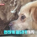 기옥농장 네이버블로그