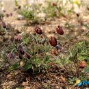 덕현허브 이미지