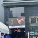 2024 코엑스 서울일러스트페어 V.17 서일페 10주년 후기 + 약간의 팁 (입장,웨이팅,히히클럽,후카후카...