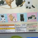 돌링 가챠샵 이미지