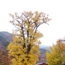 은행약수터 이미지