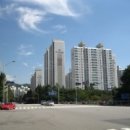 분당-202 이미지