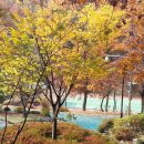 노작공원(노인공원) 이미지